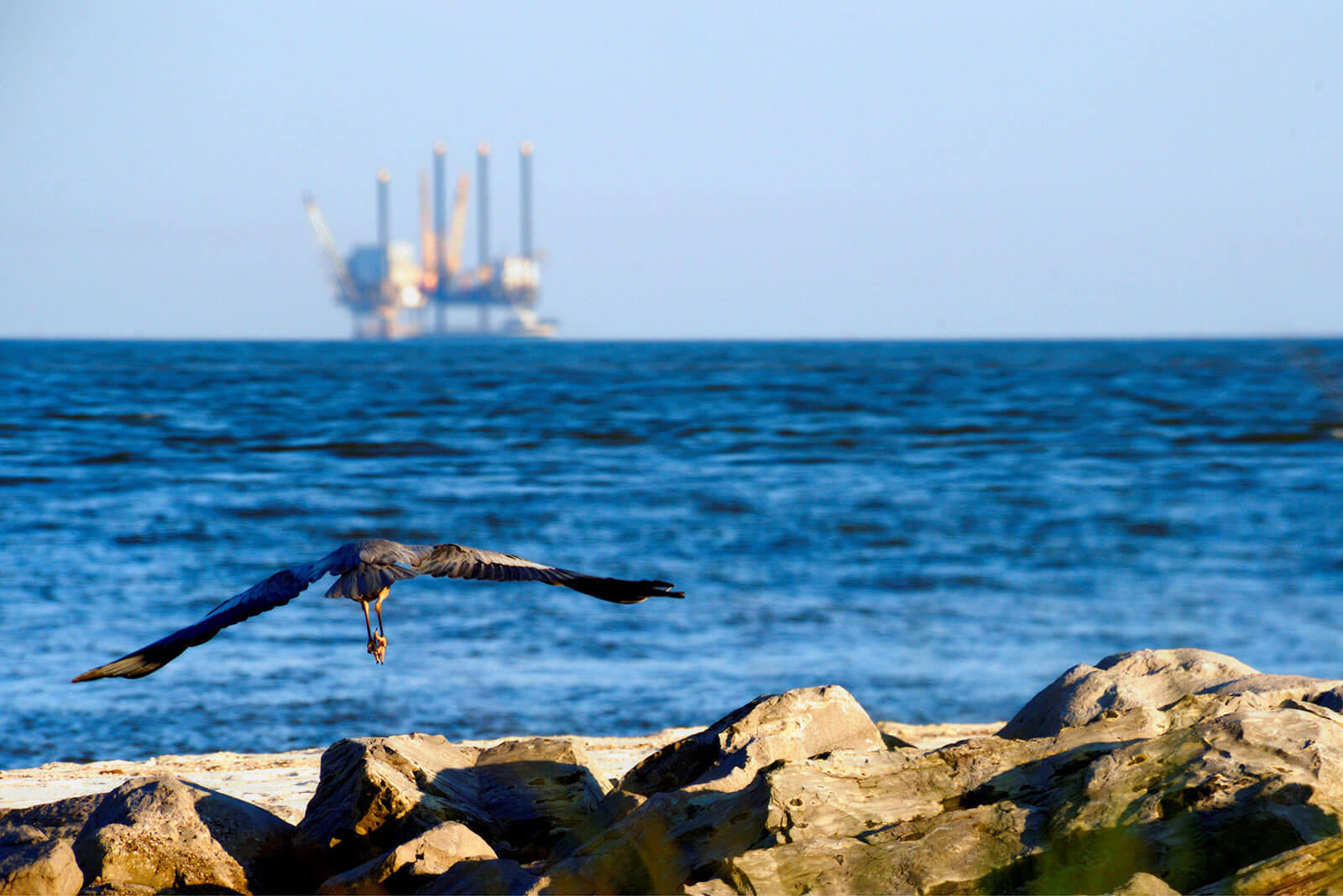Oil & Gas